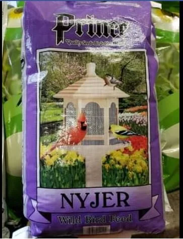 NyerSeed.JPG