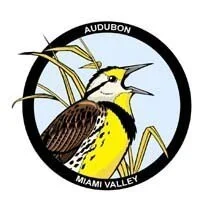 PROGRAM - Deer Impacts and Proposed Management in the Miami University Natural Areas (IN-PERSON ONLY)