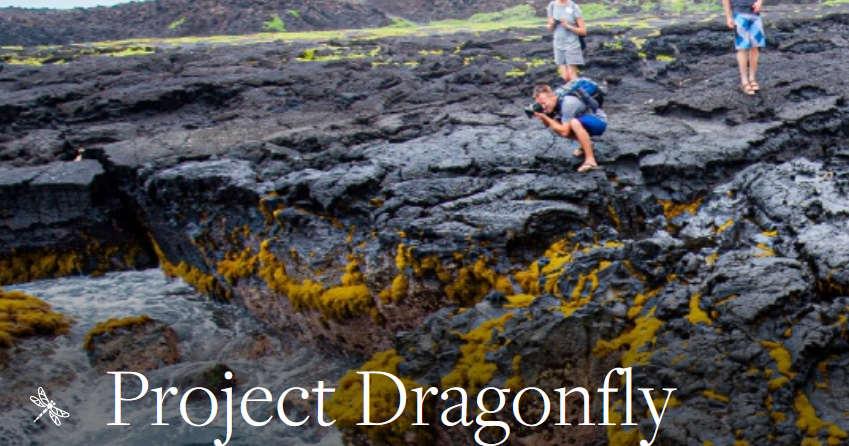 Have you heard about Miami University's Project Dragonfly Graduate Program?