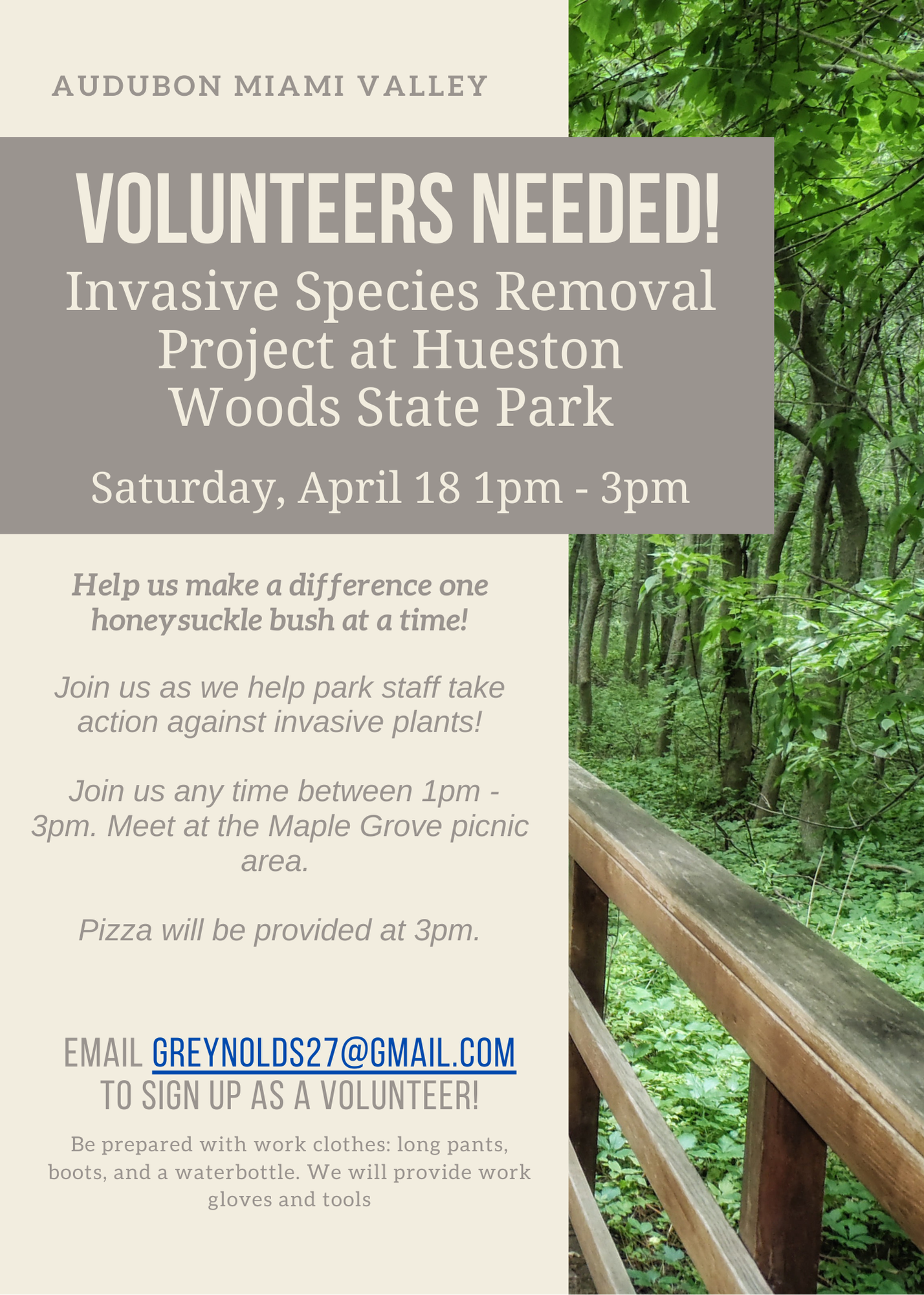 Hueston Woods Invasive Species Removal Project — Volunteers Needed!