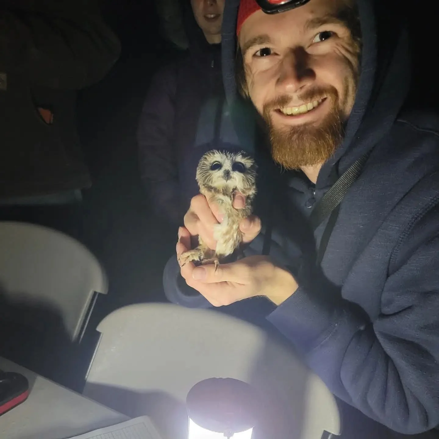 PROGRAM - Project Owl Net: Northern Saw-whet Owls on the Wing