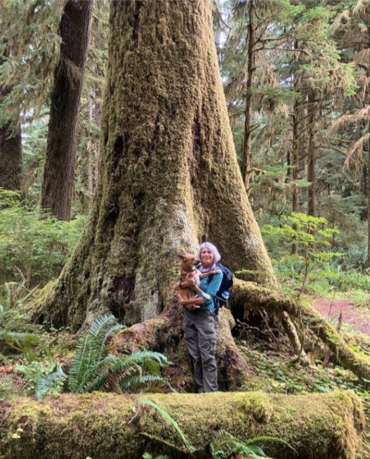 PROGRAM - Reflections on Land Conservation as Inquiry and Practice