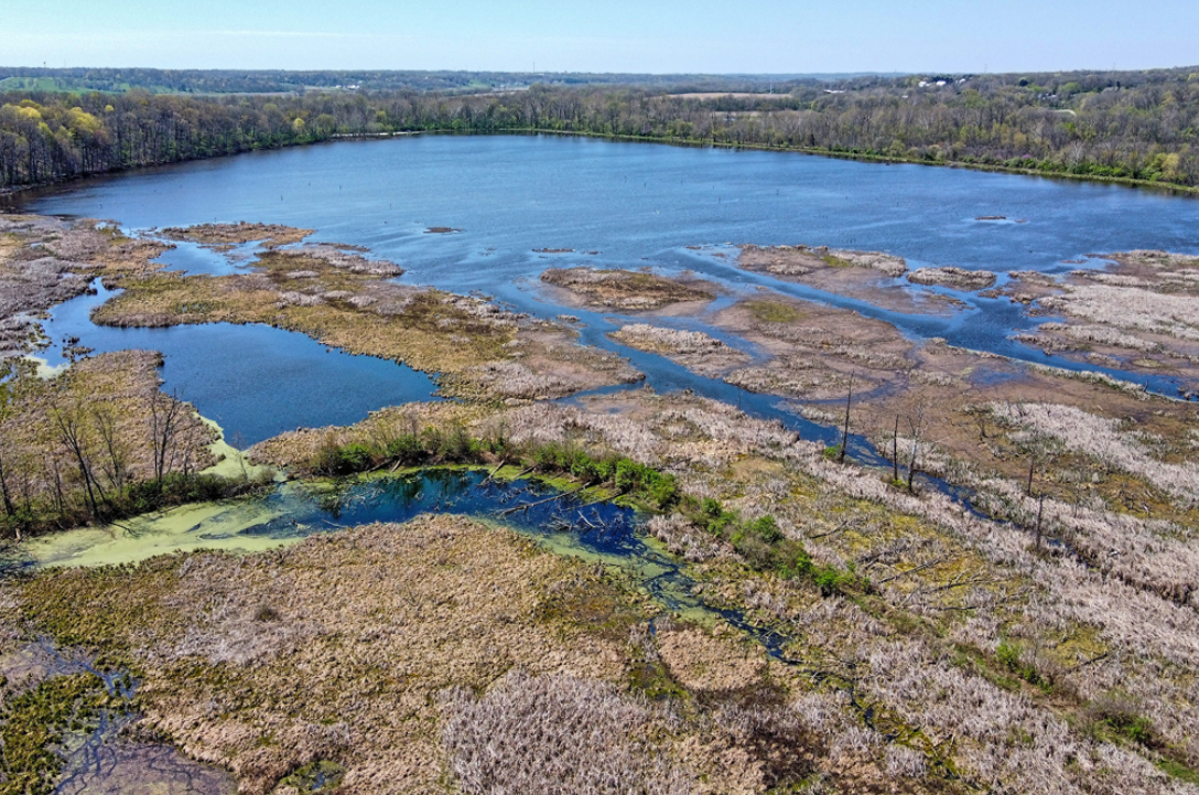 FIELD TRIP - Spring Valley Wildlife Area