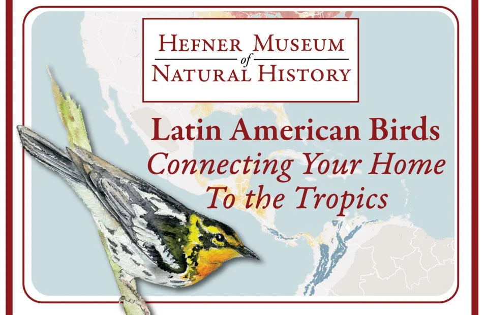 52nd Annual Hefner Lecture: Latin American Birds, Connecting Your Home to the Tropics