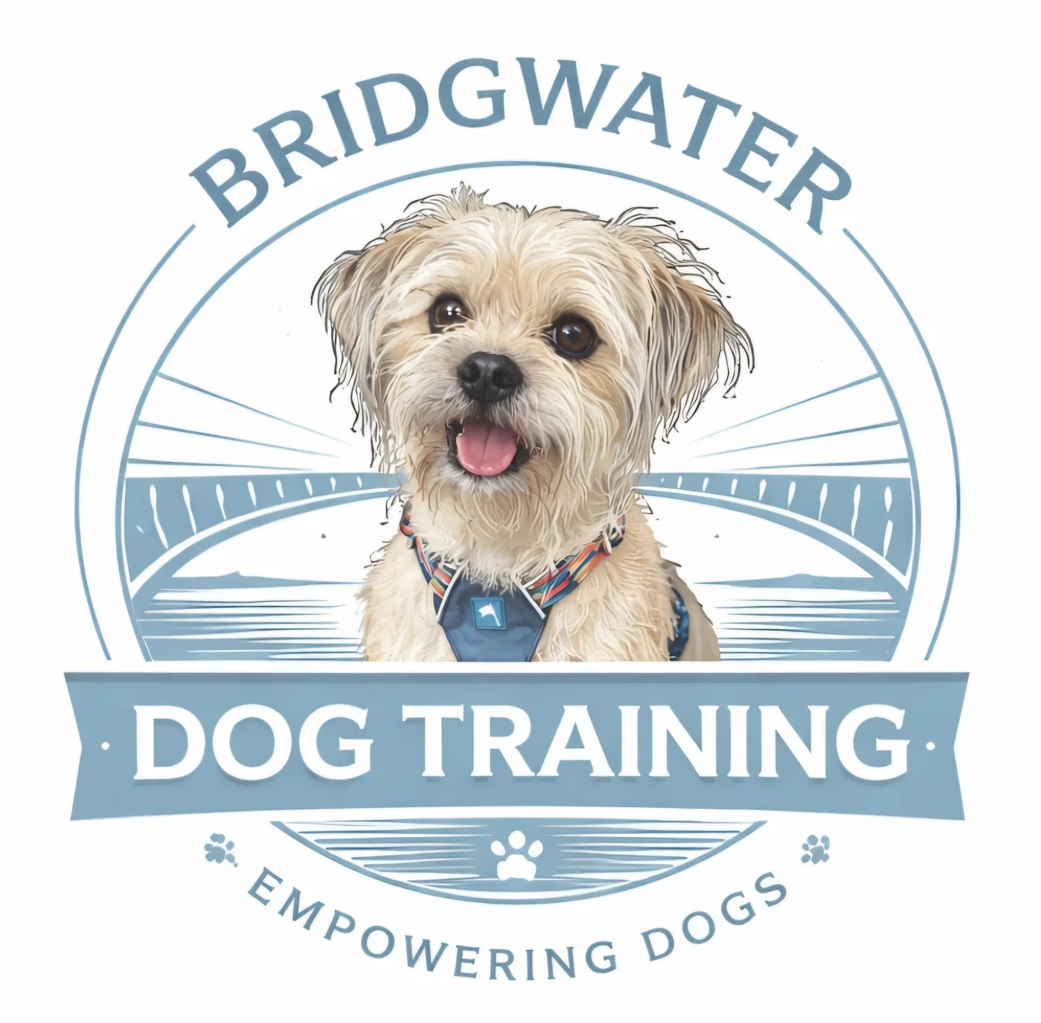 Bridgwater Dog Training