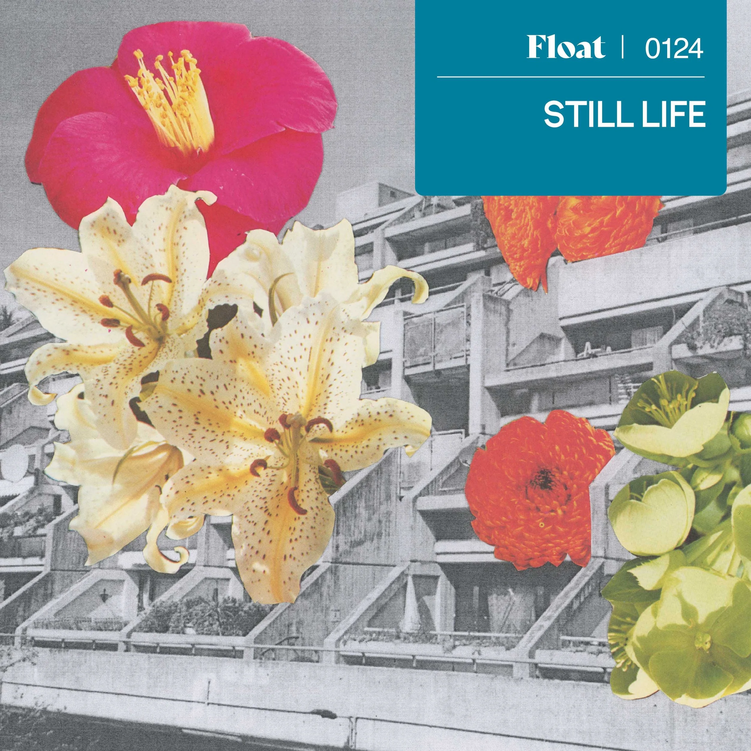 FL0124 - STILL LIFE