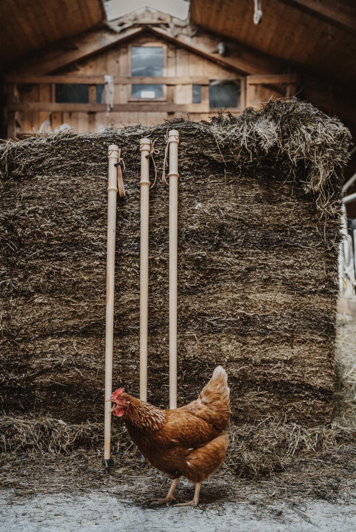 Bildschirmfoto 2025-12-29 um 17.47.56.png