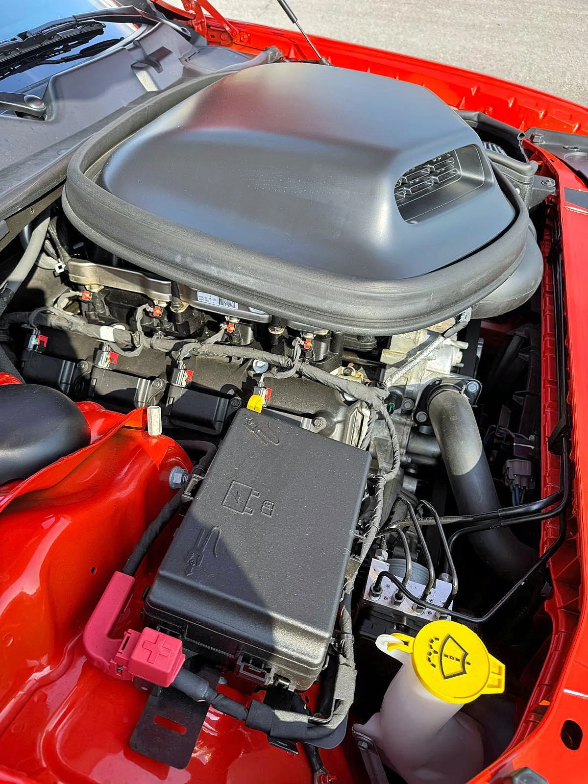 WhatsApp Image 2026-03-03 at 16.59.31 44 ps.jpg