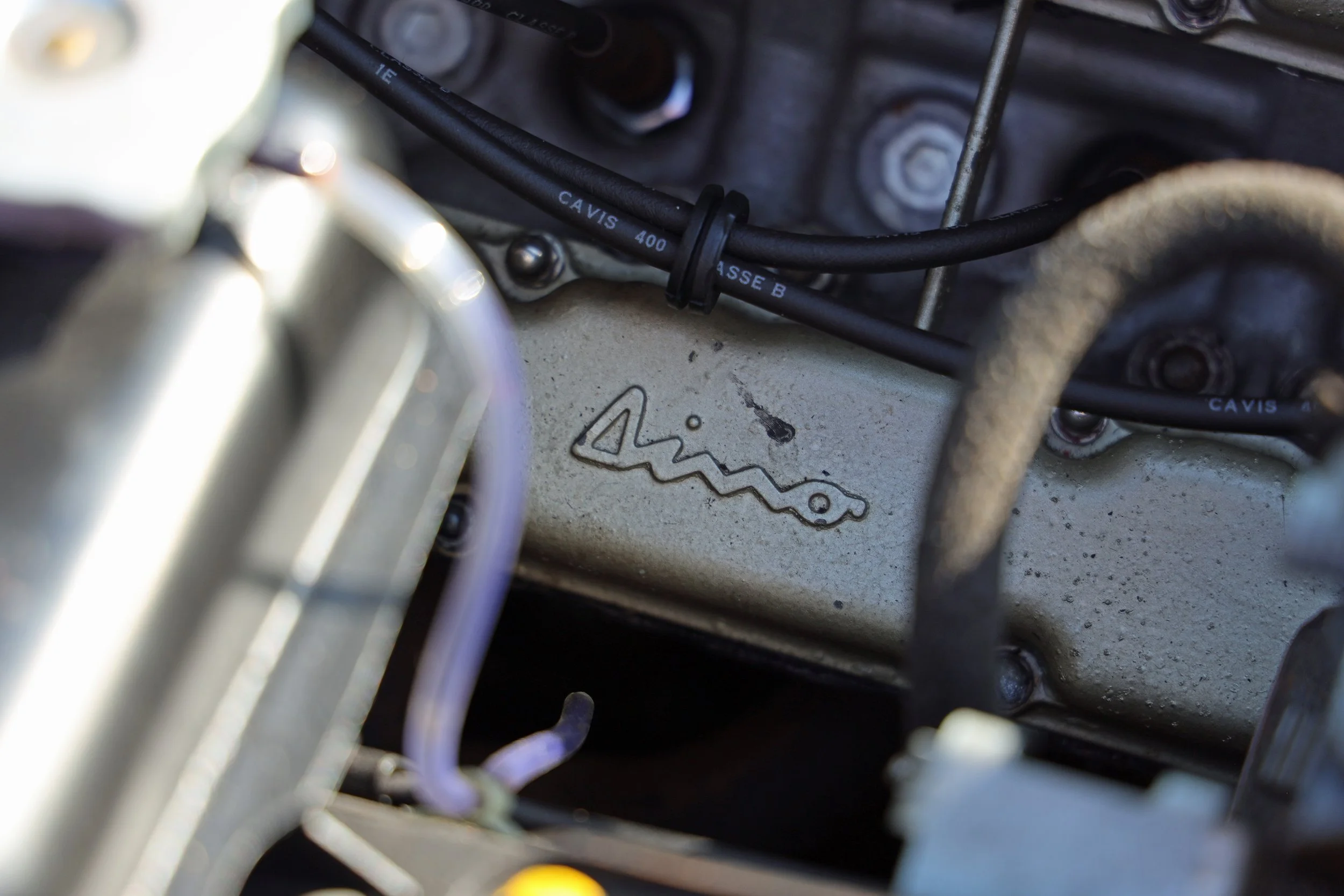 1S5A3096 ps.jpg