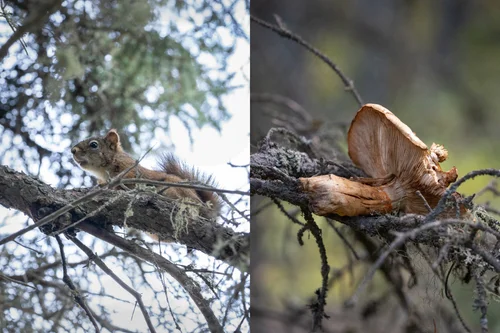 野外での簡単クッキング