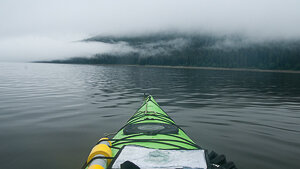 Project-Tongass-rainforest-6.jpg