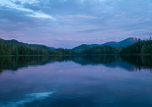Project-Tongass-rainforest.jpg