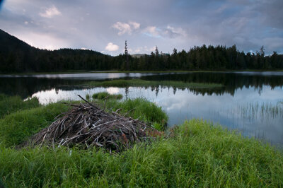 Projec_Jyomon_images_c-19.jpg