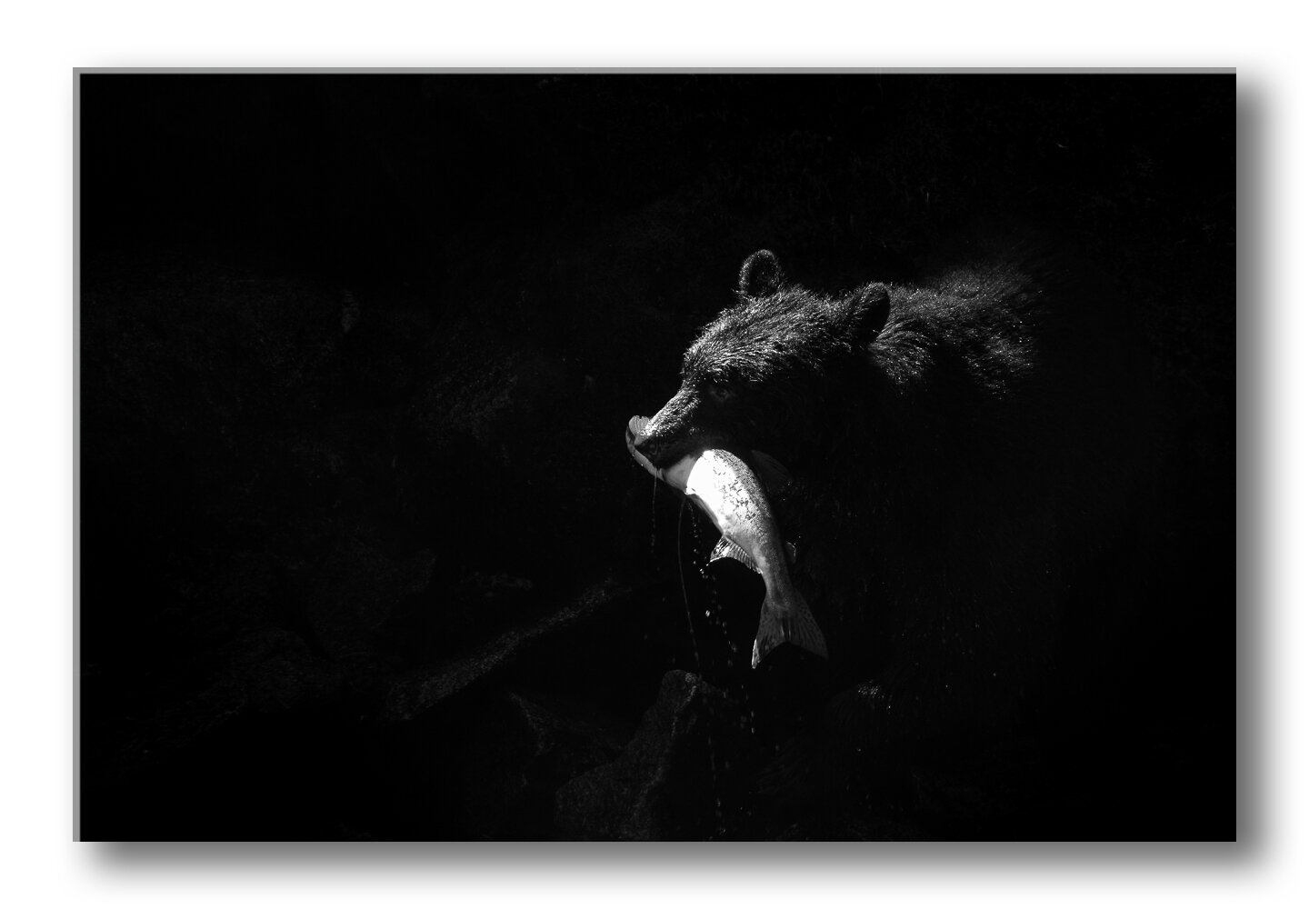 FA_B&W_images_1280x852 copy.jpg
