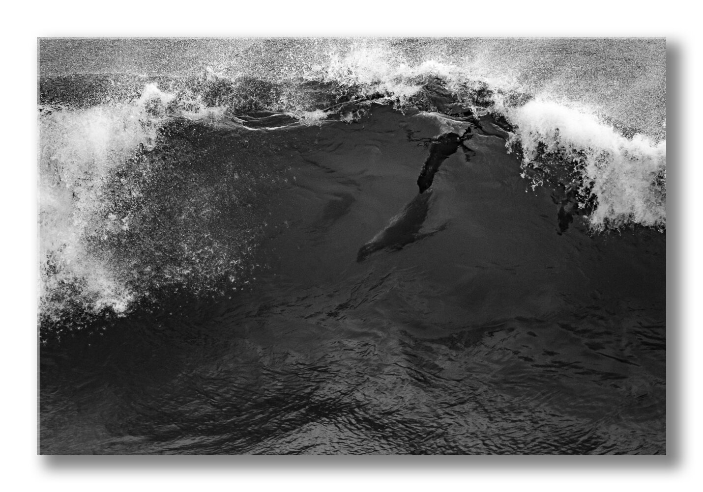 FineArt-Playing-with-the-waves.jpg