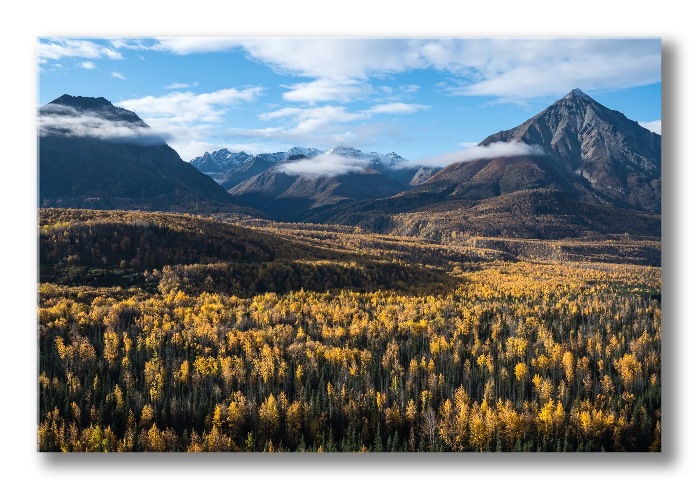 FineArt-Fall-color-in-Matanuska-valley.jpg
