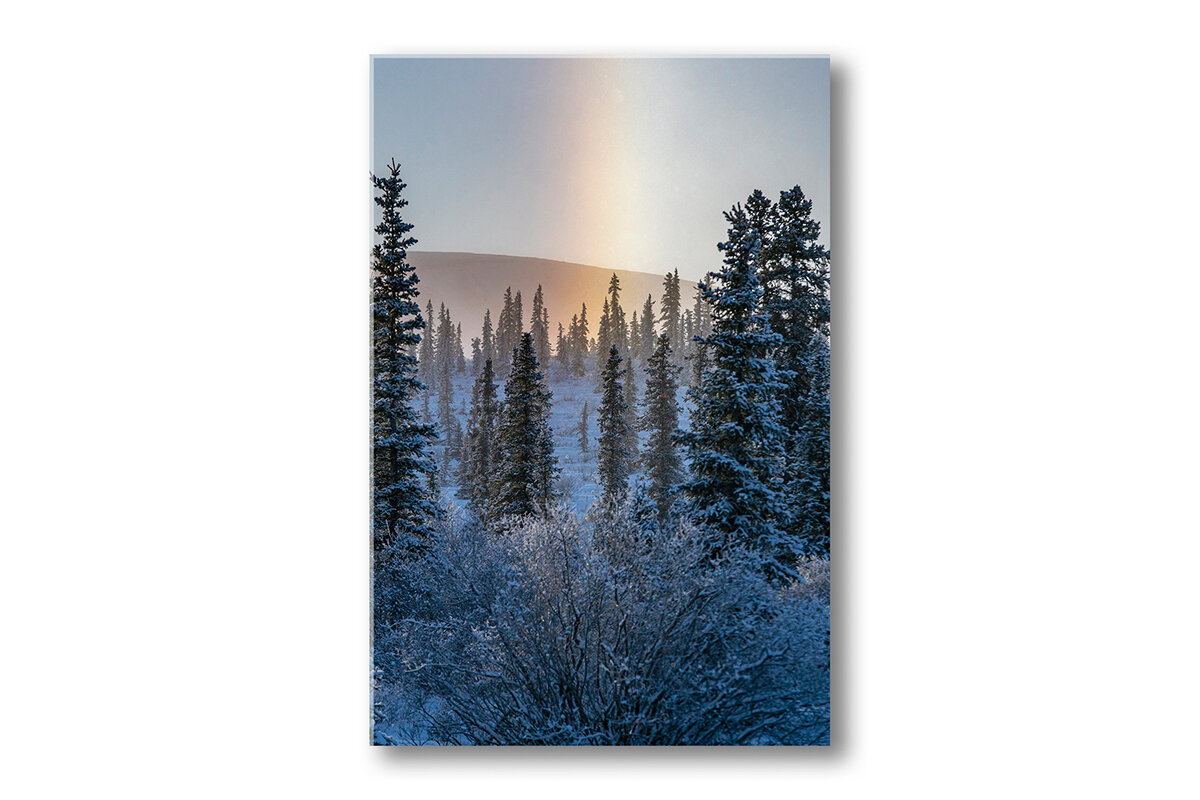Arctic-Halo-Vertical-Thumnail+.jpg