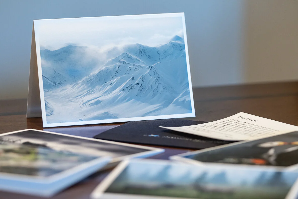 Artsit Notecards-product-images-3.jpg
