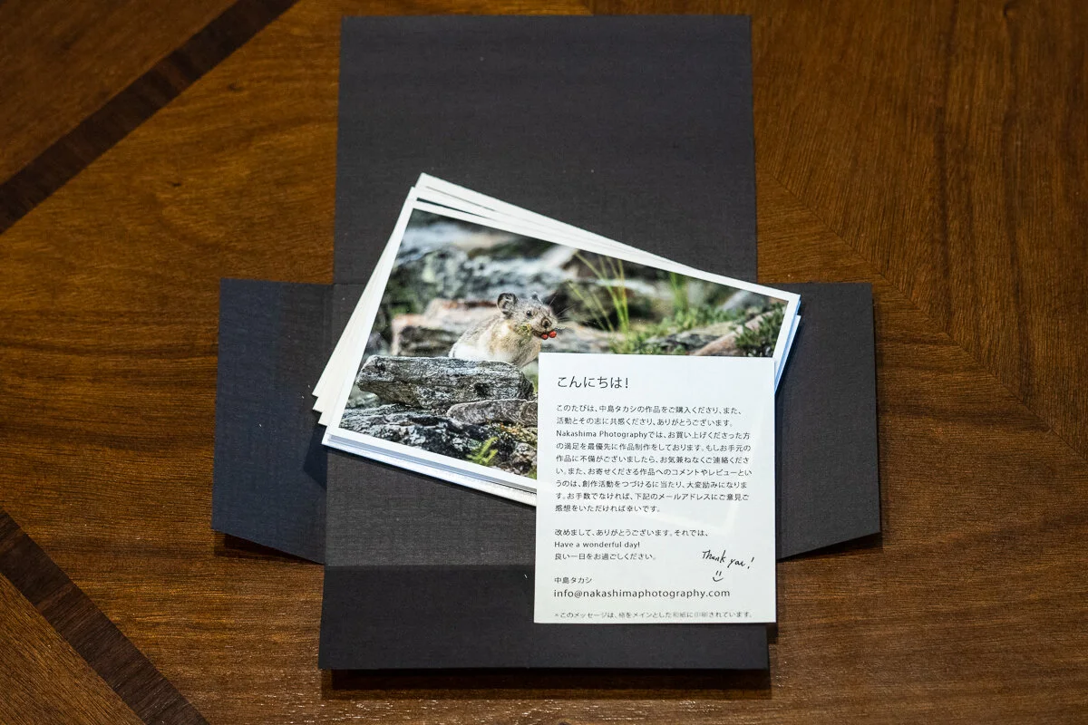 Artsit Notecards-product-images-8.jpg