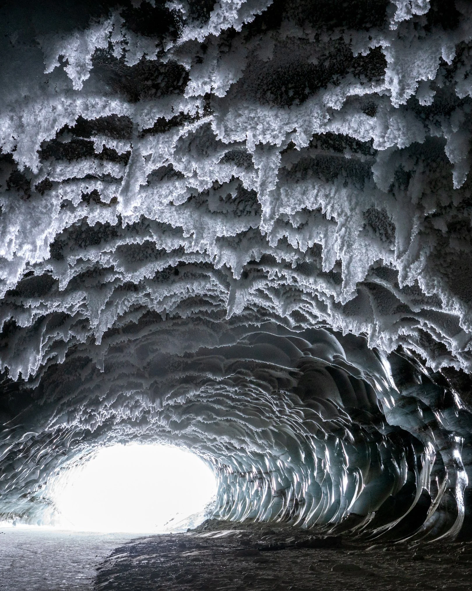 Insta_arctic_grid_image-009.jpg
