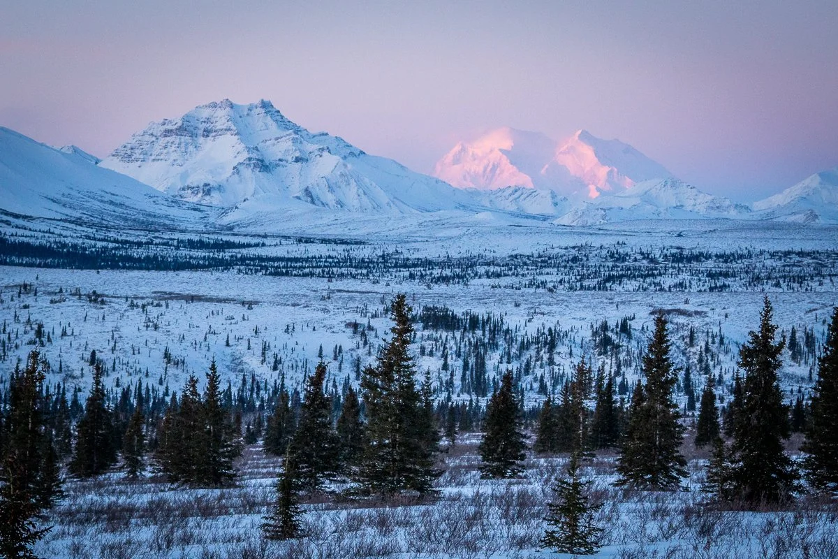Denali Winter＿0038.jpg