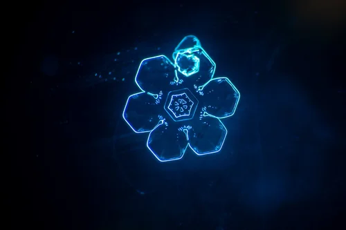 冬の星景・氷霜マクロ撮影