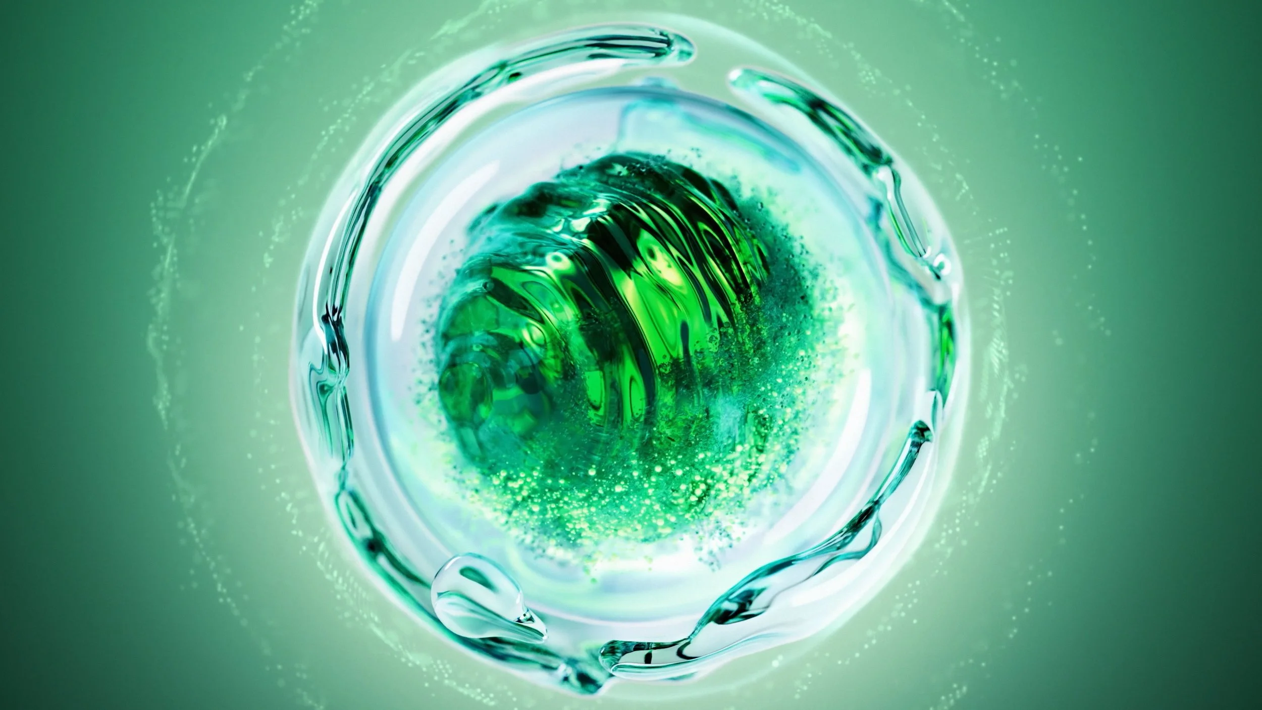 Vladislav Solovjov_Showreel_2026_edit_v002 (00738).jpg