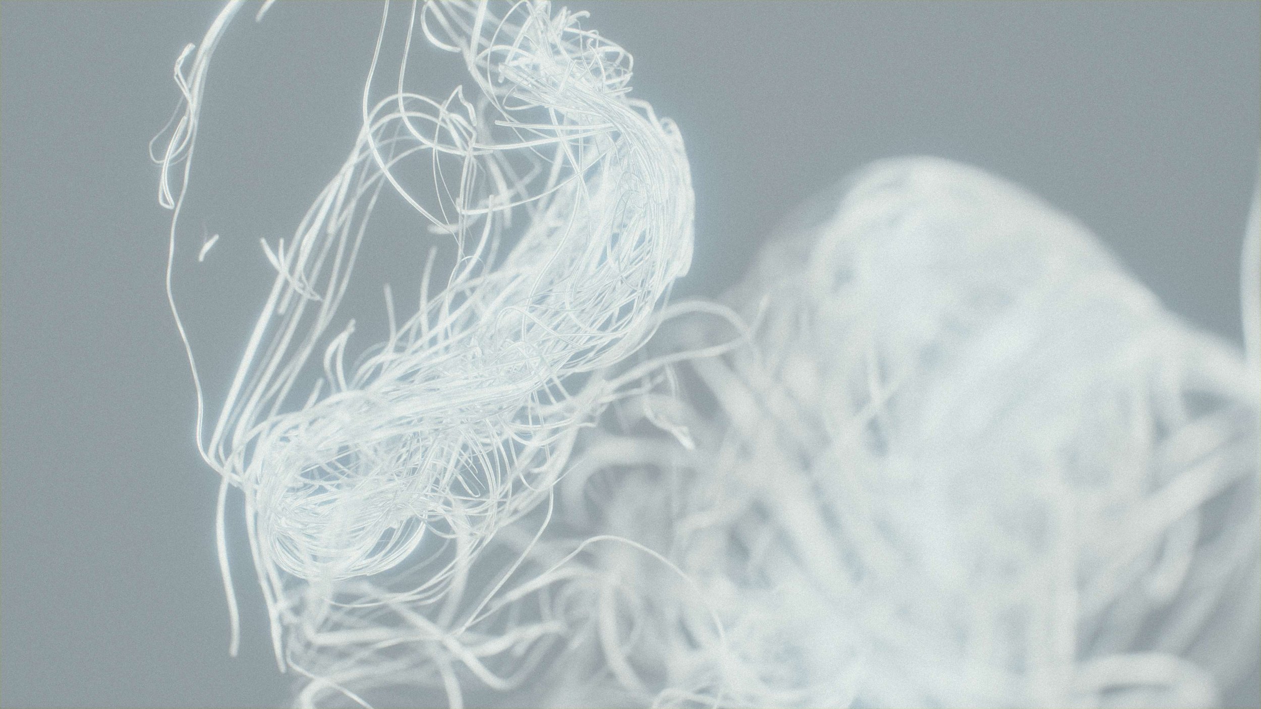 Adam_Music Video_WIP_27 11 2023_3.jpeg