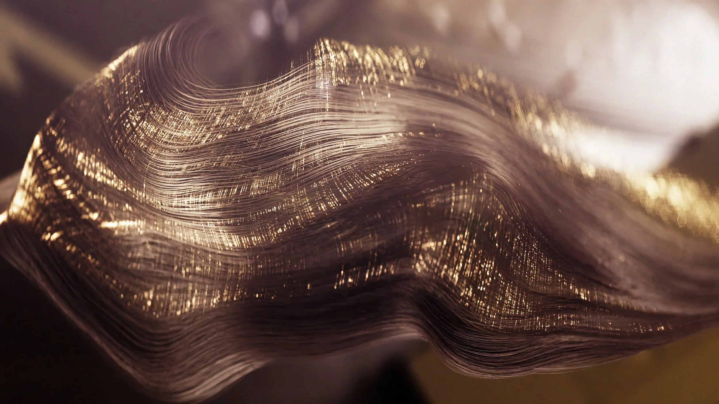 Haircare products / Visual Development