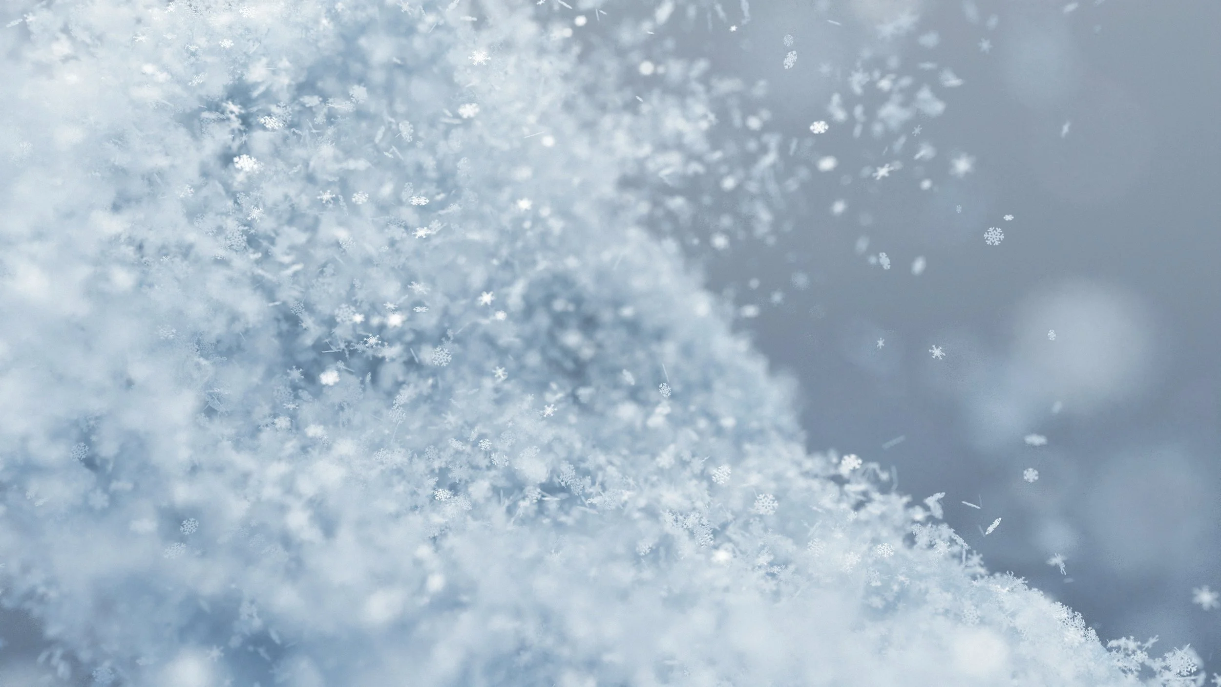 Vladislav Solovjov_Showreel_2026_edit_v002 (00793).jpg