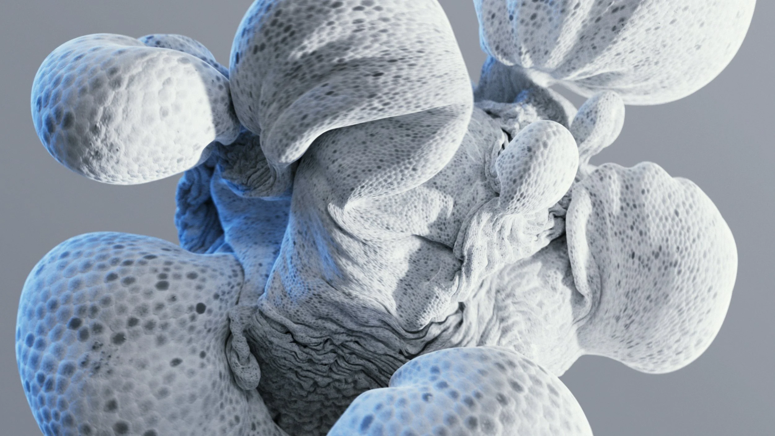 Vladislav Solovjov_Showreel_2026_edit_v002 (01145).jpg