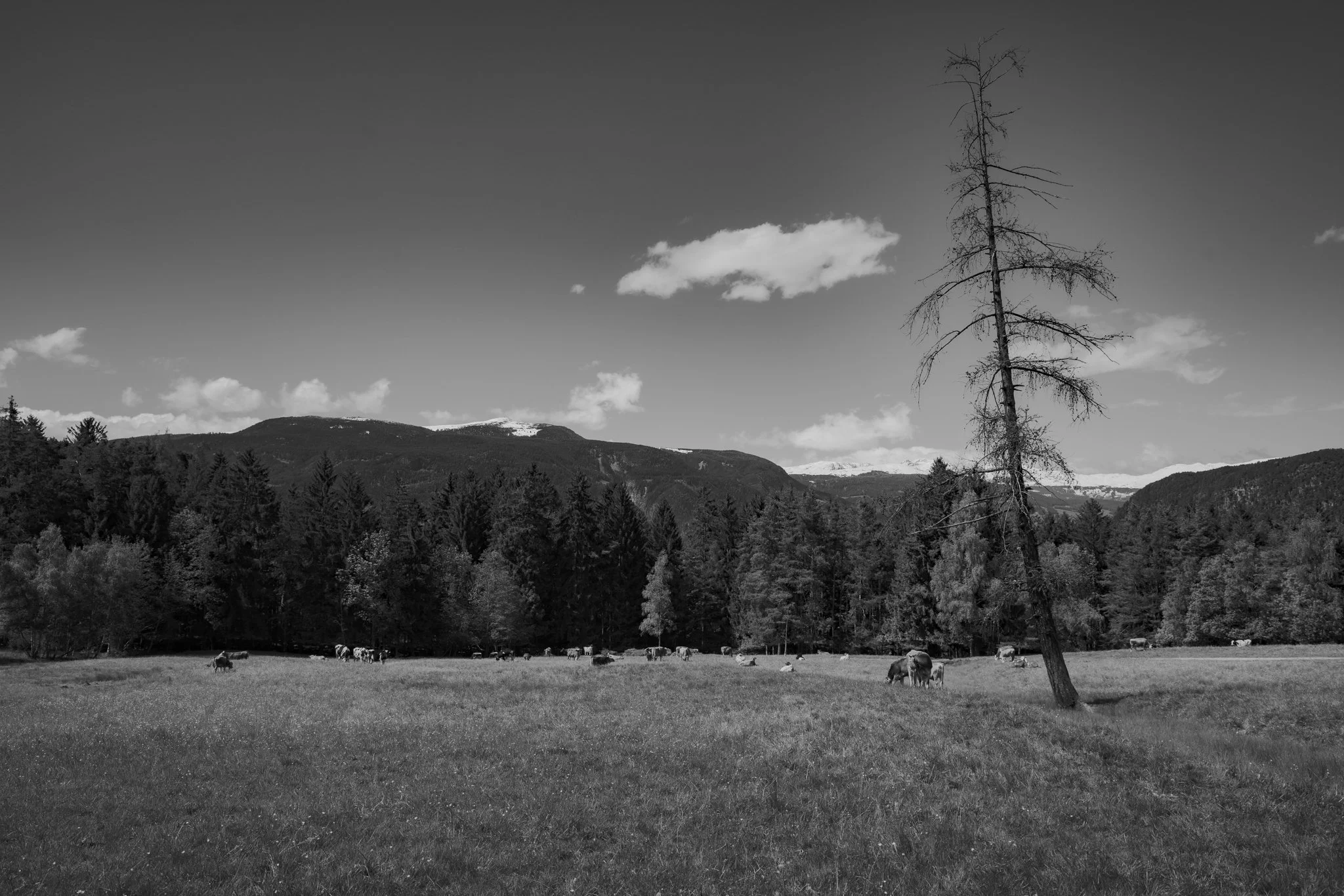 Dolomites-1-38.jpg