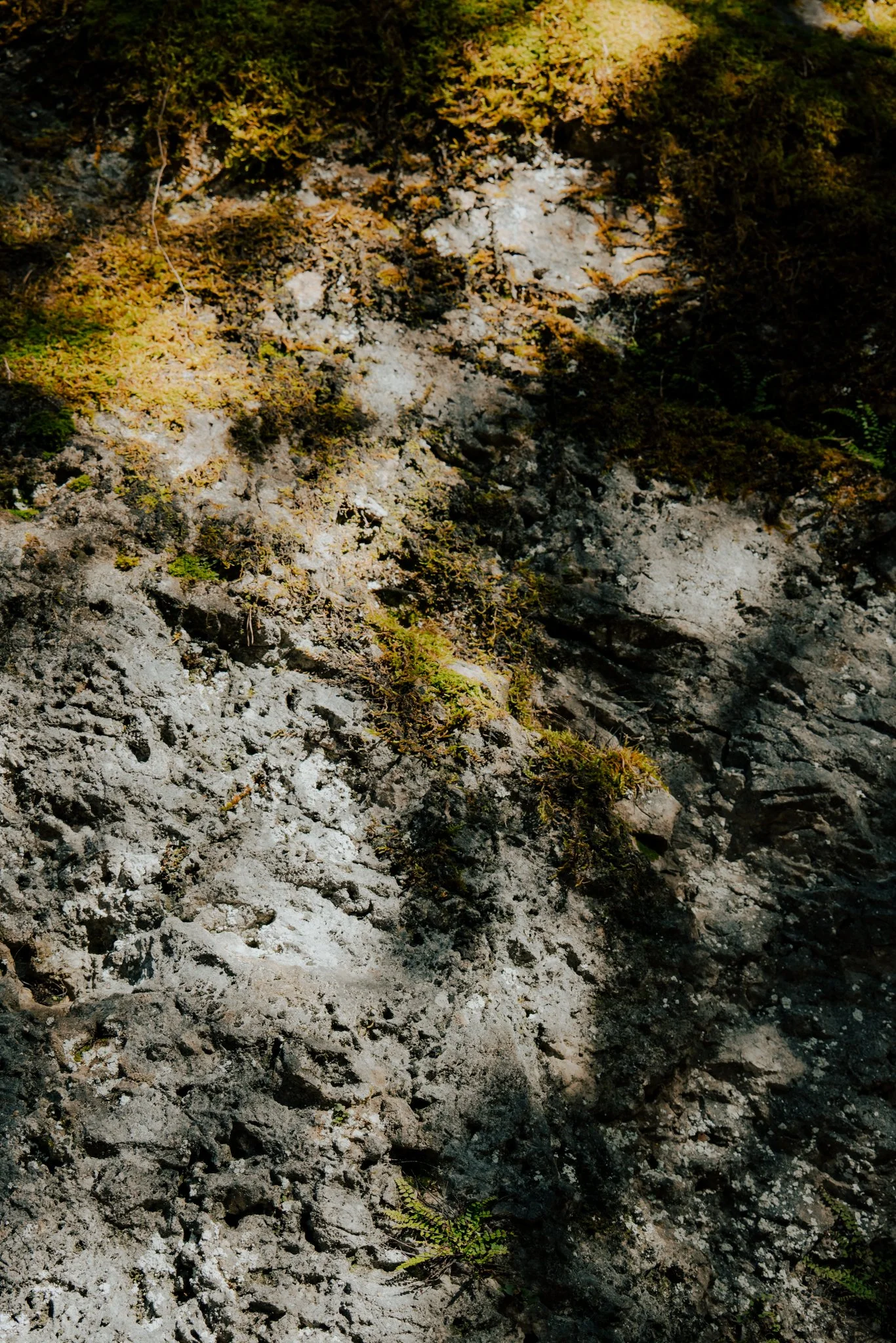 Dolomites-54.jpg