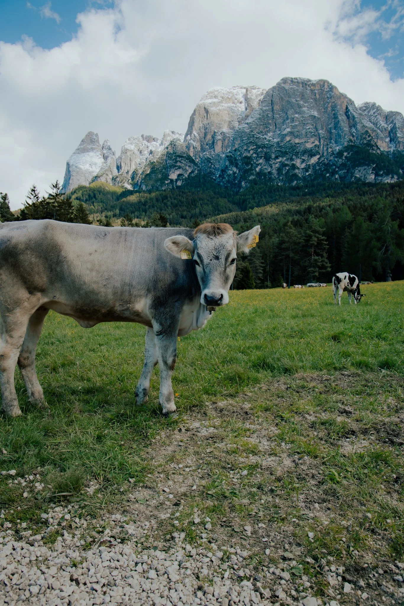 Dolomites-52.jpg