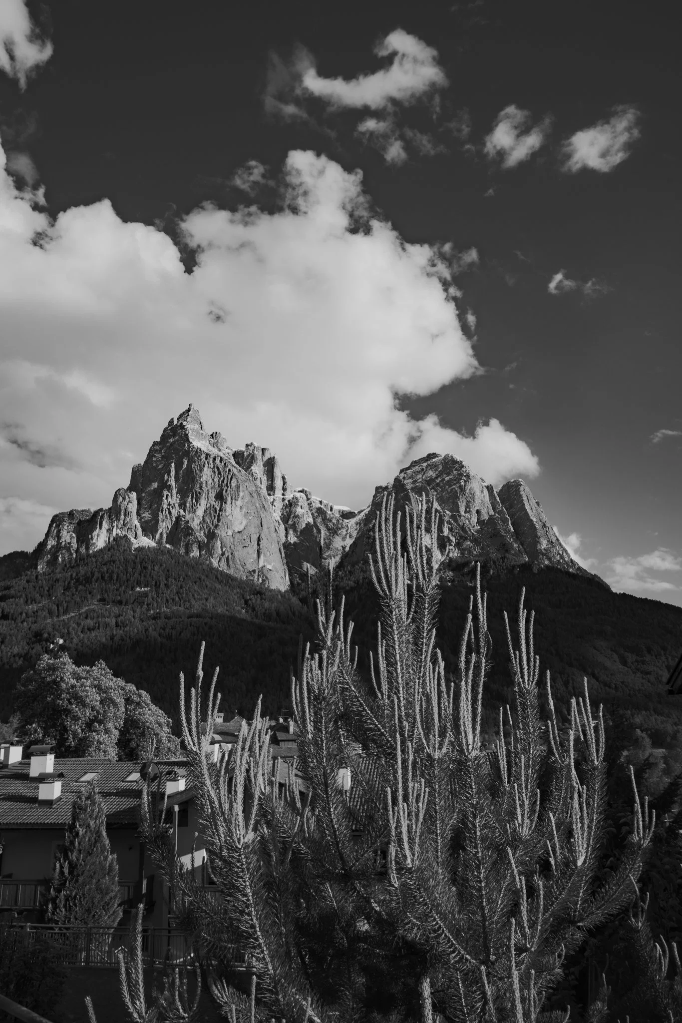 Dolomites-1-41.jpg