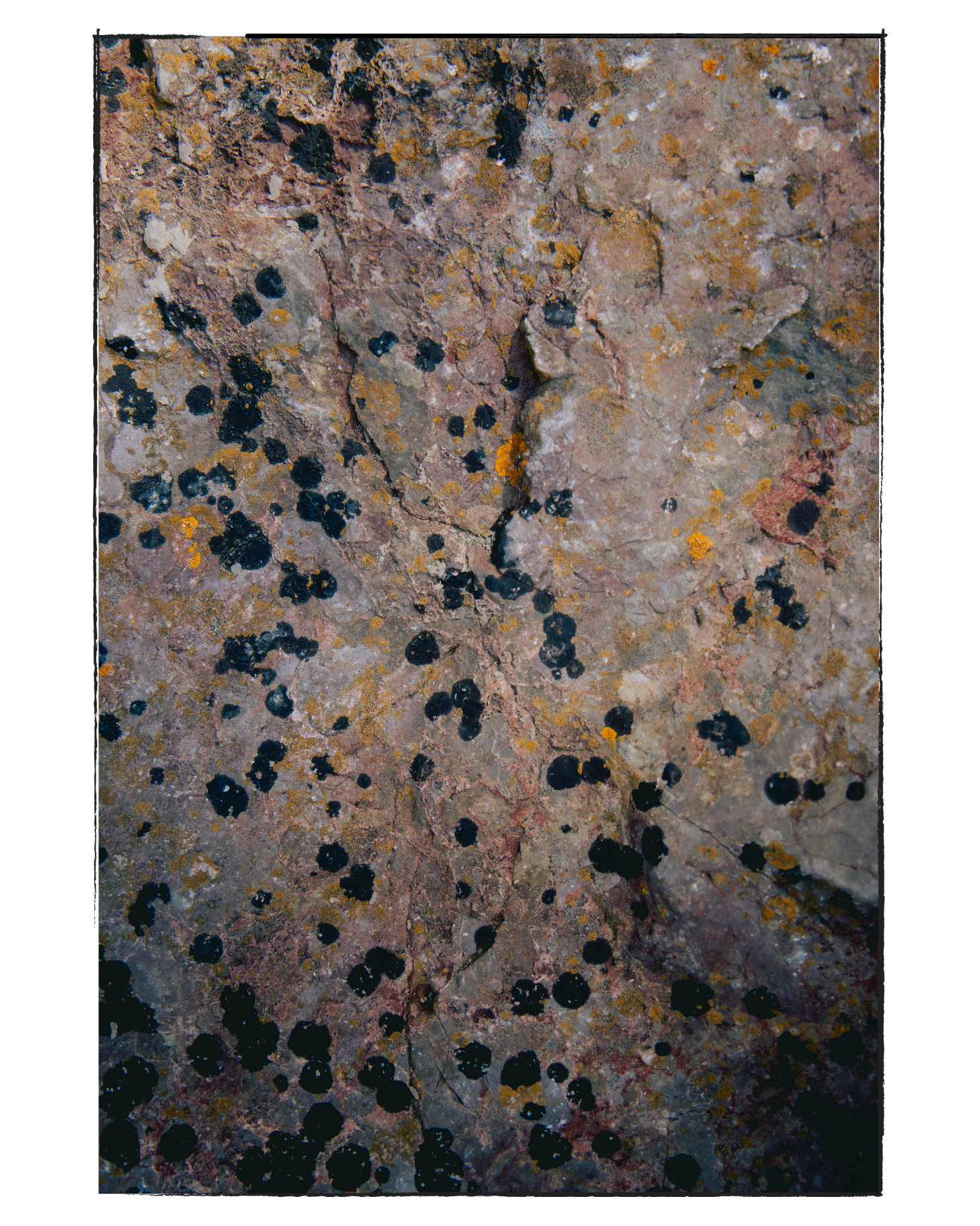 20.png