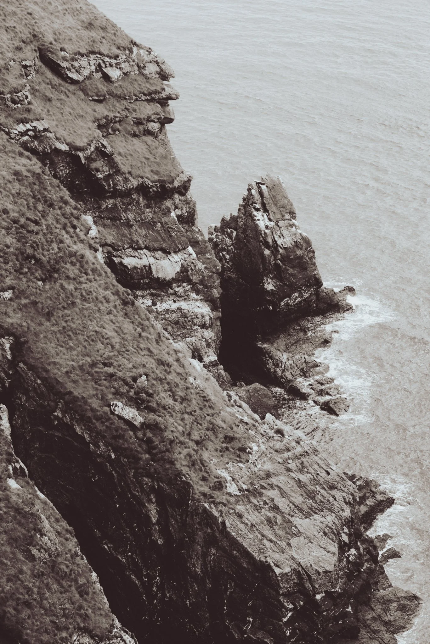 Ood Anglesey Morgan Barfield-59.jpg