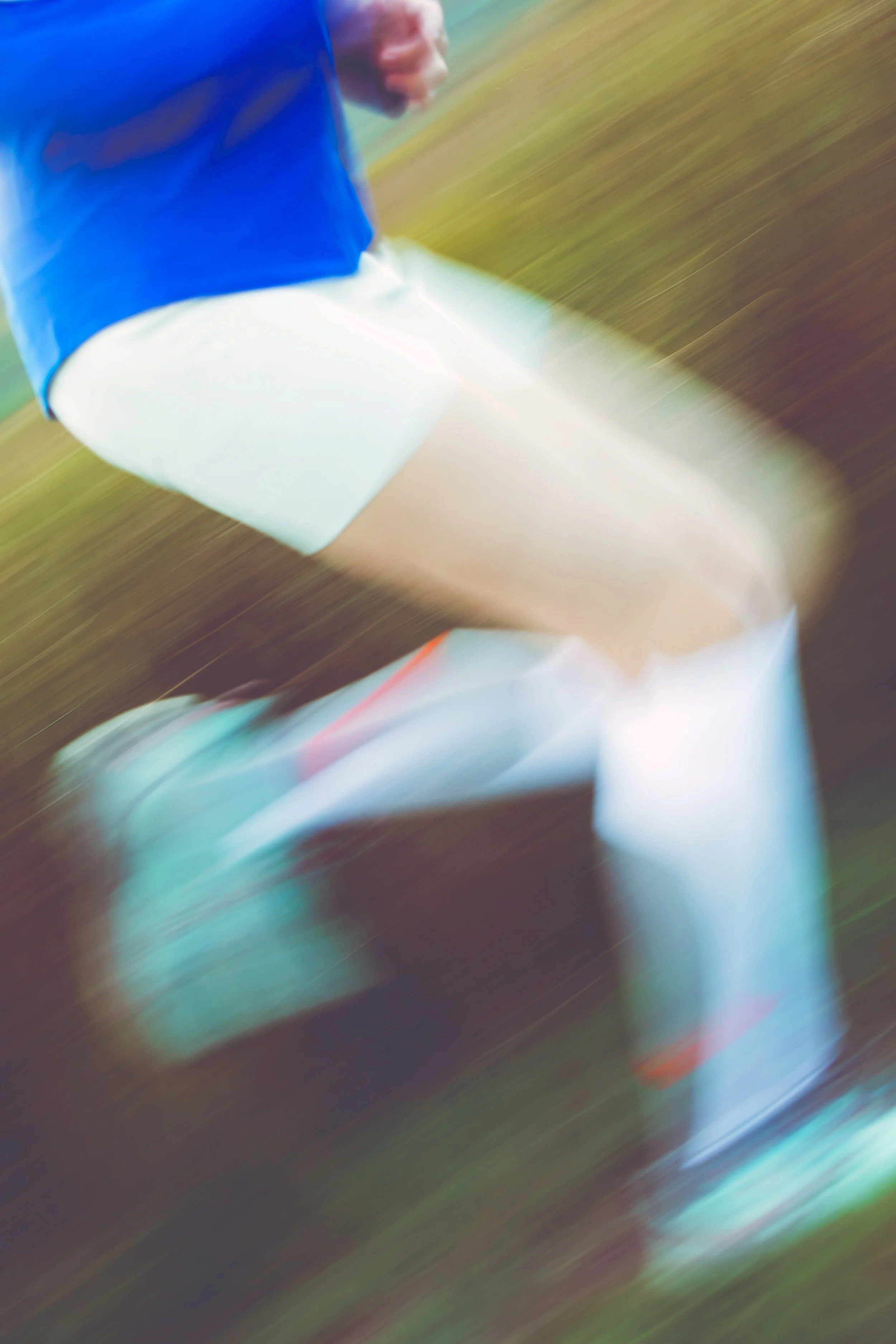 Sums Club - Long Compression Socks