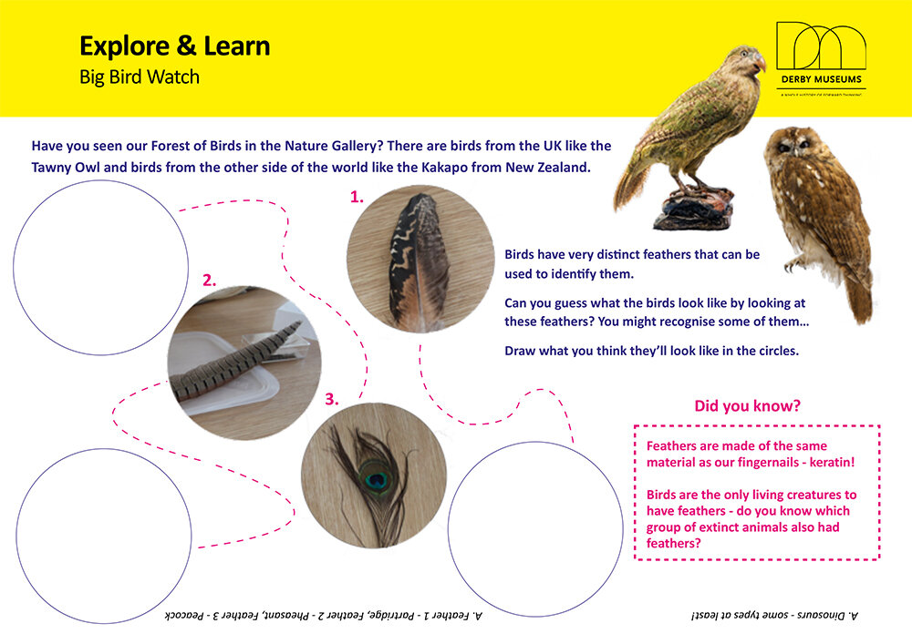 Explore & Learn_Big Bird Watch-1 alt 1000.jpg