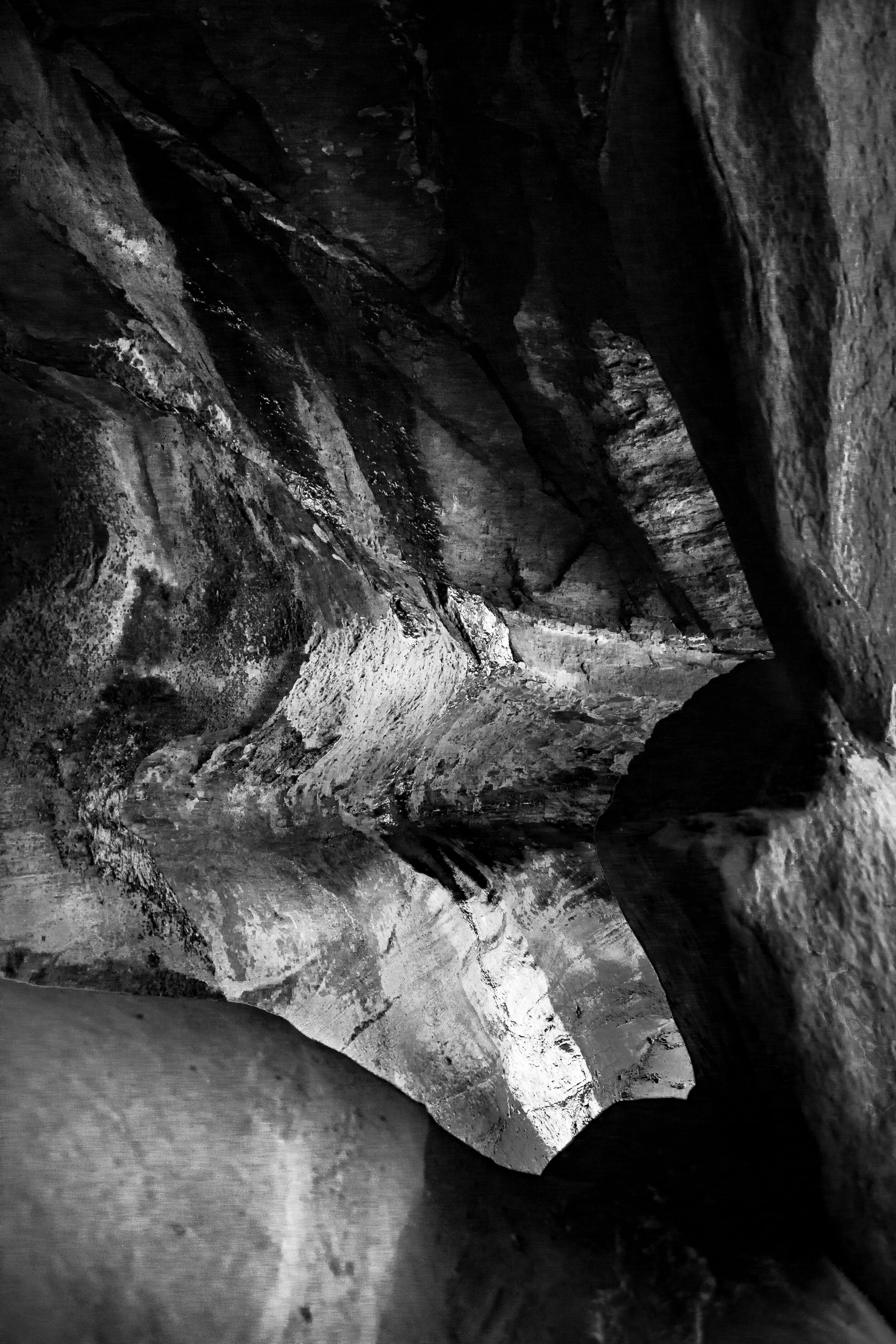 _MG_1420.jpg
