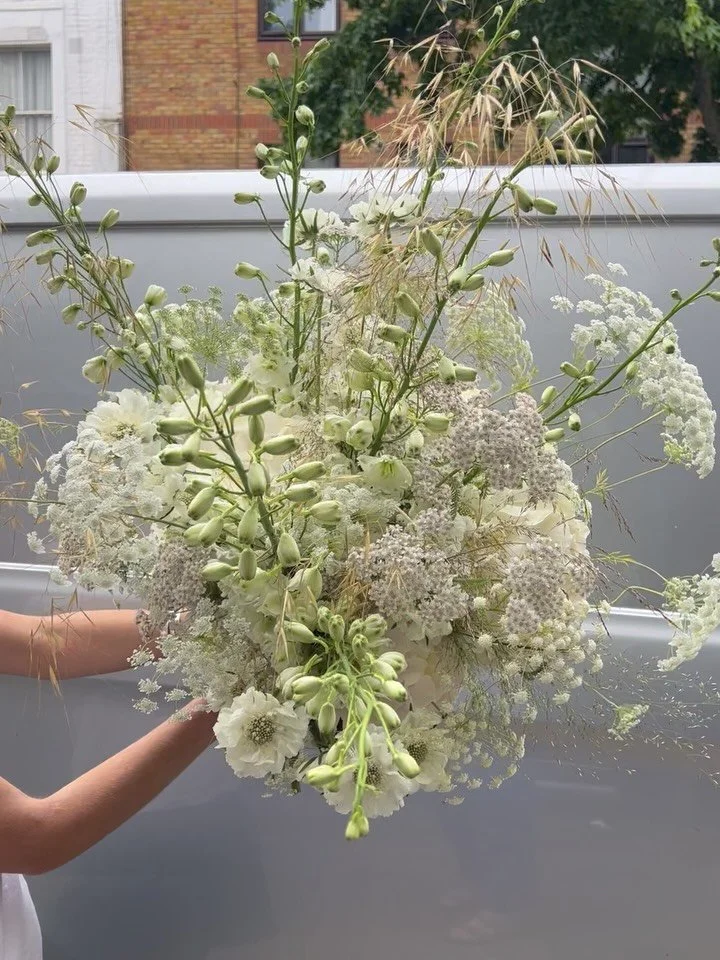 Big fluffy babe xxxx 
.
#delphinium #queenanneslace #scabia #hydrangea #stipa #londonflorist #golborneroad