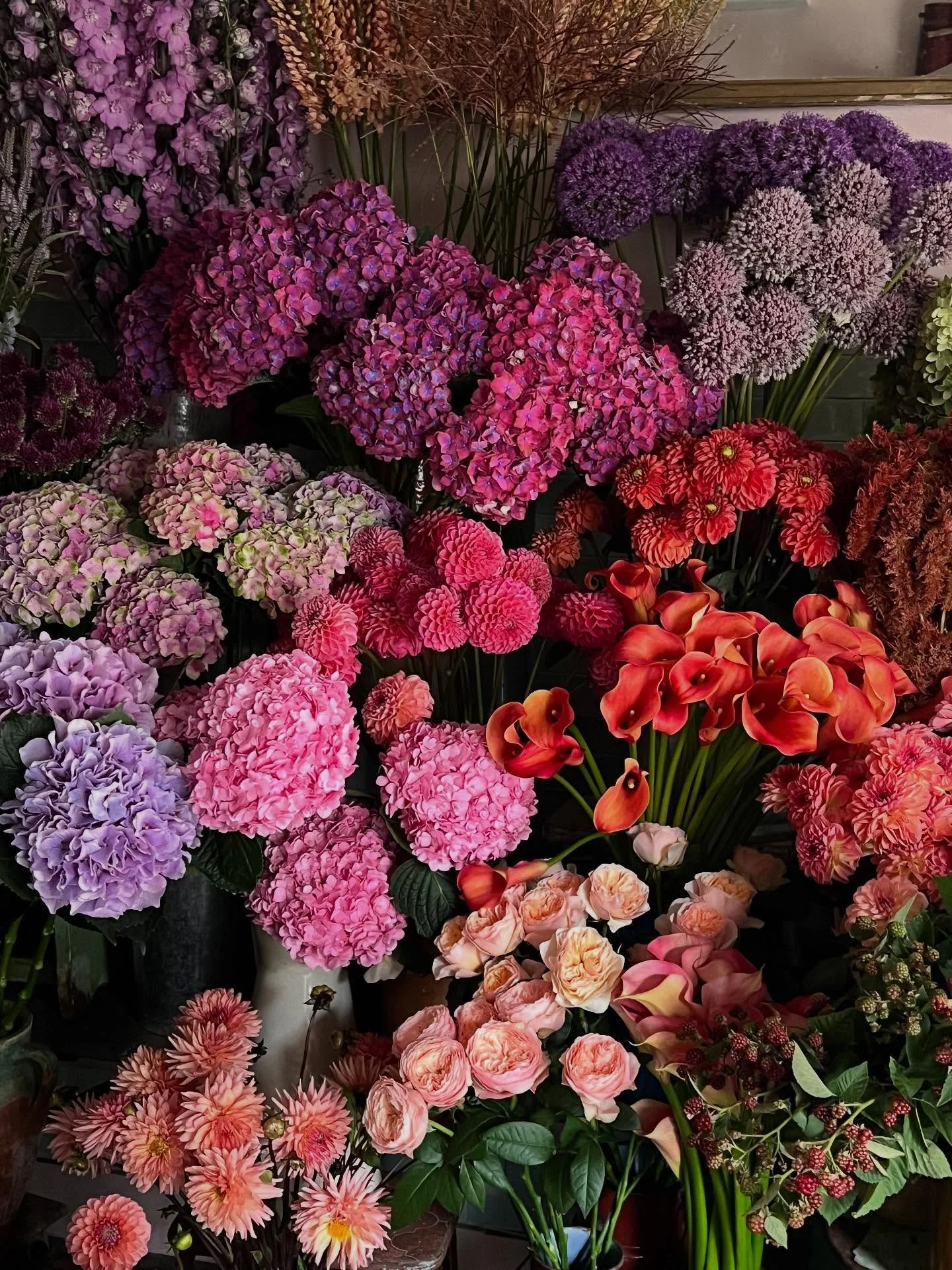 Summer shop xxxxxxxxxxxxxxxxxxxxxx
.
.
.
#flowershop #londonflorist #flowerlovers #nottinghill #golborneroad #summer #summerflowers