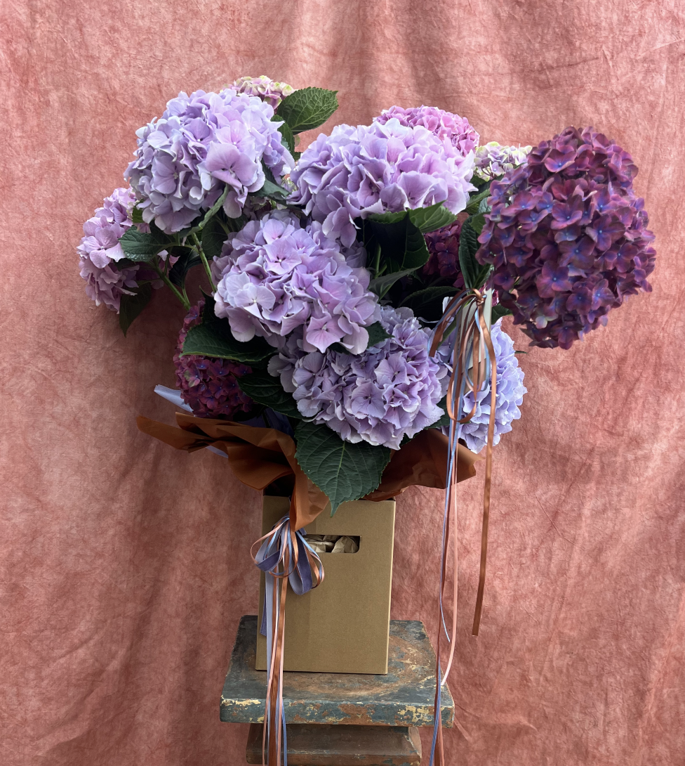 Screenshot 2026-02-10 at 20.38.58.png