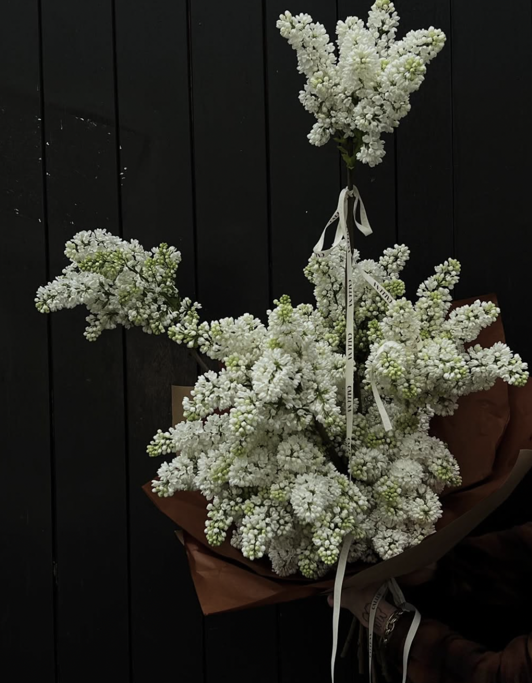 Screenshot 2026-02-10 at 20.27.18.png