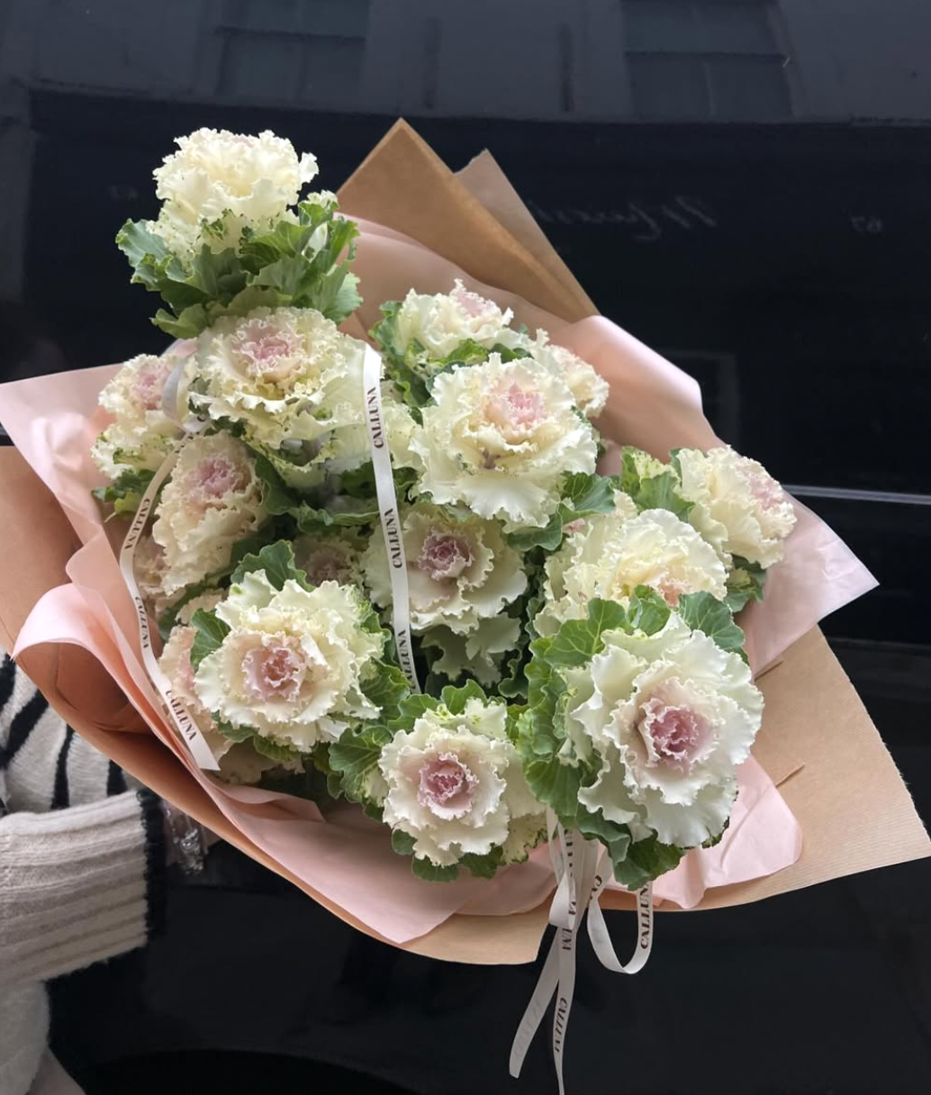 Screenshot 2026-02-10 at 20.29.21 1.png