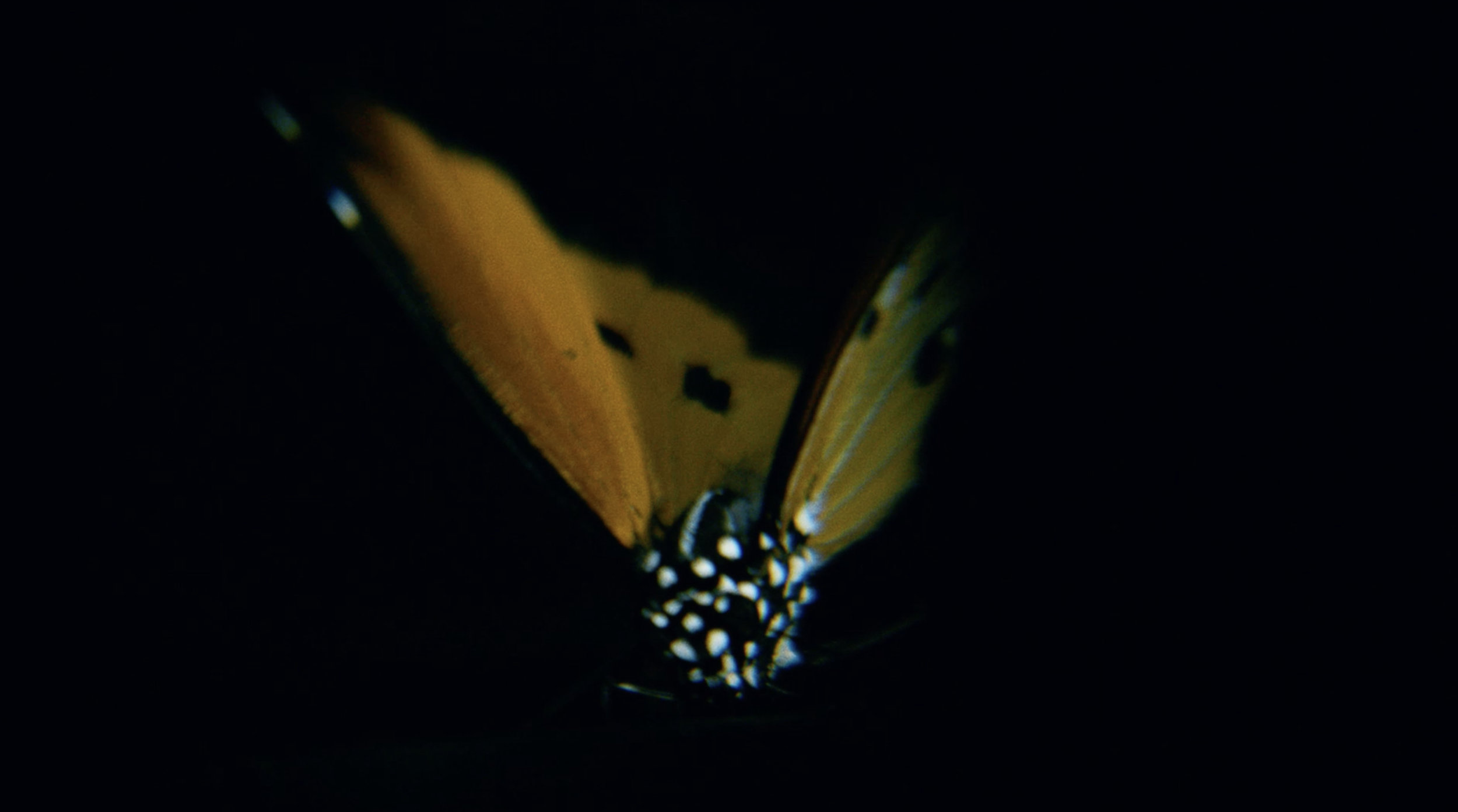 Screenshot 2025-08-27 at 10.48.00.PNG