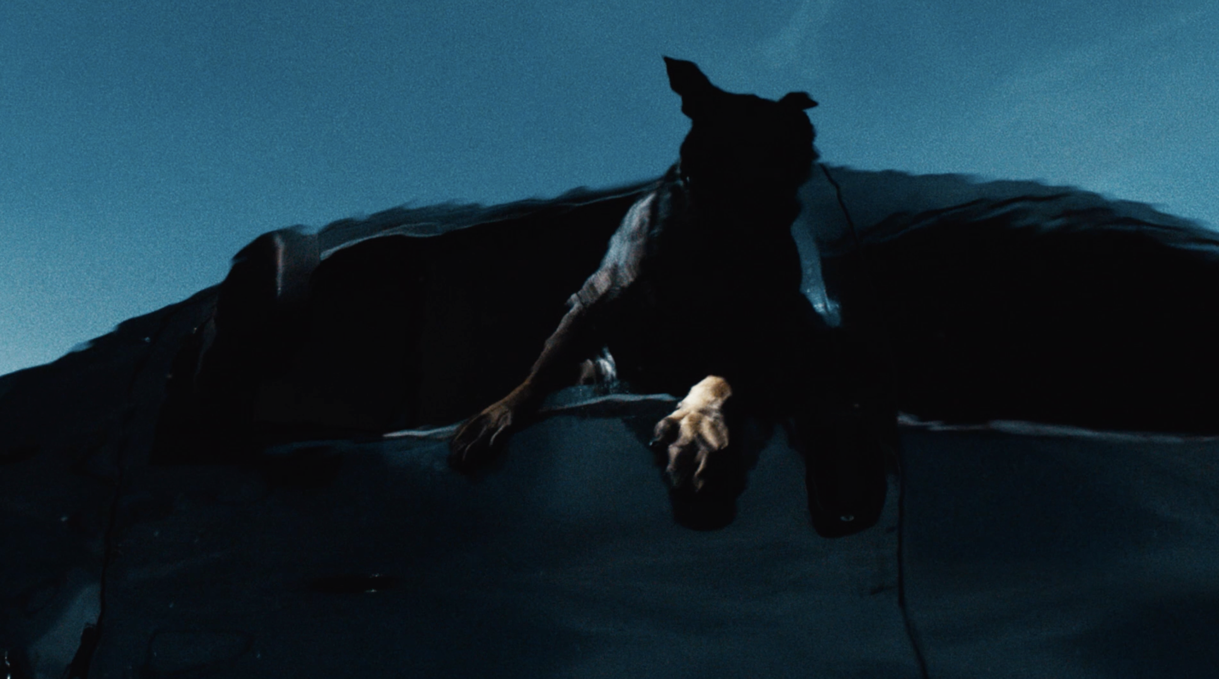 Screenshot 2025-08-27 at 10.49.06.PNG