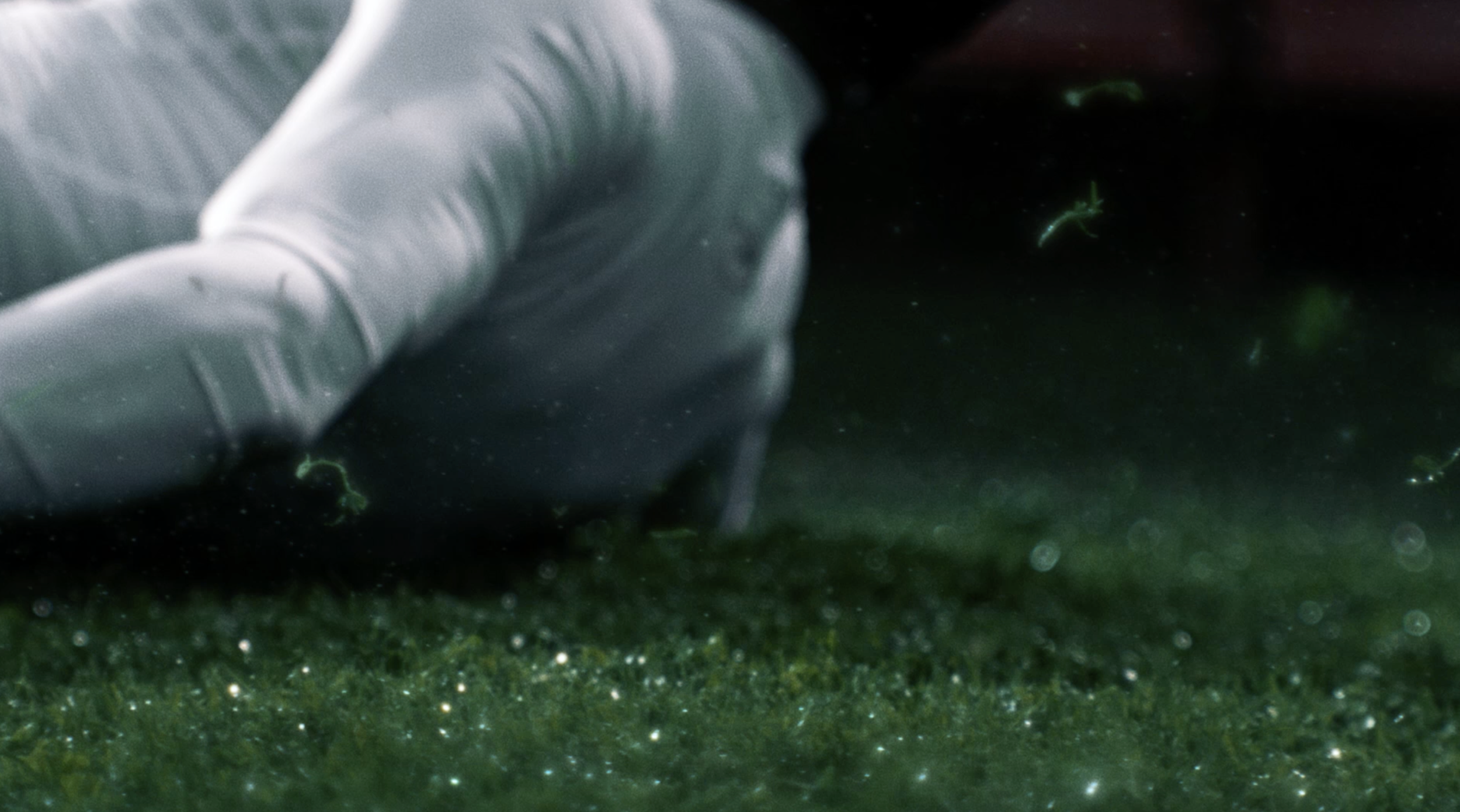 Screenshot 2025-08-27 at 10.46.15.PNG