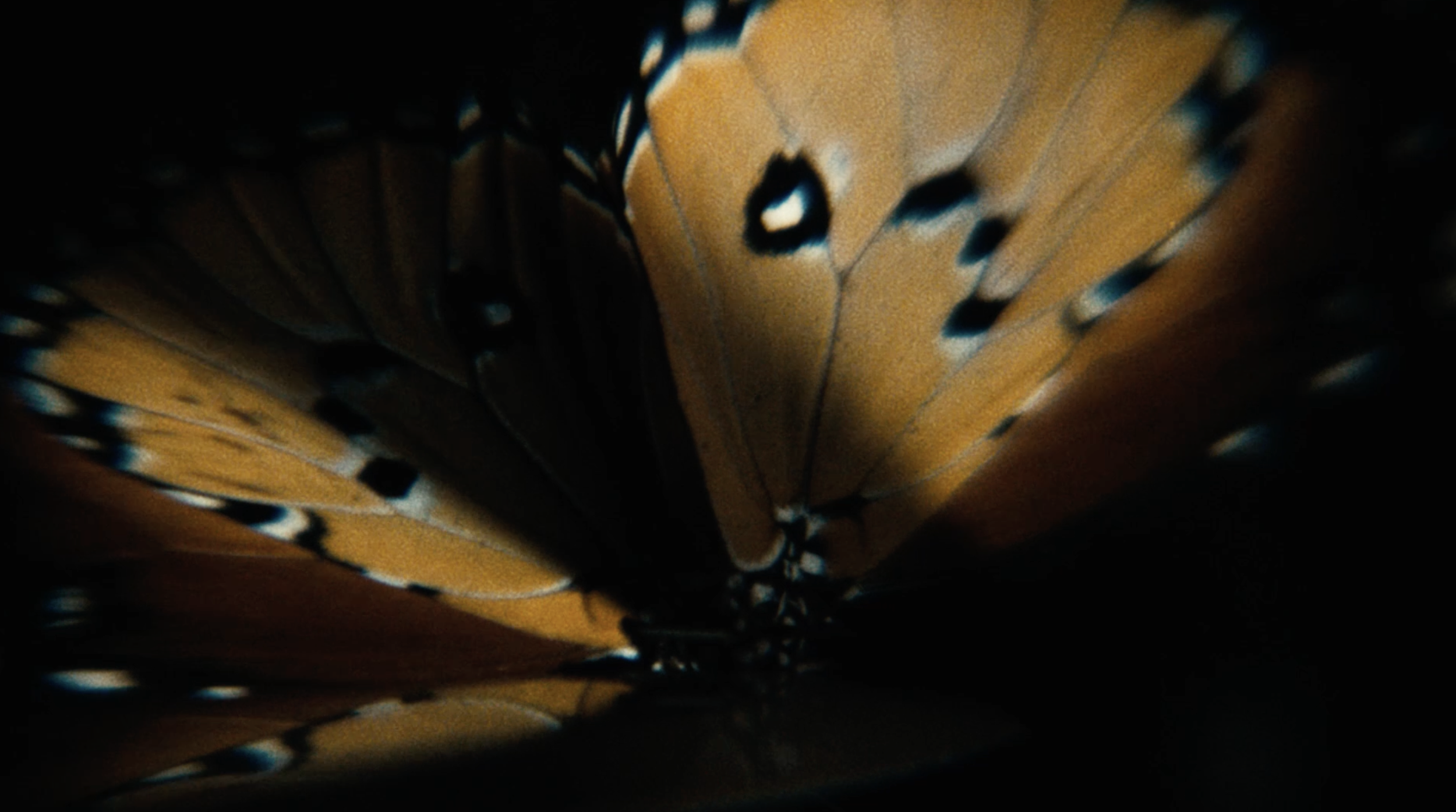 Screenshot 2025-08-27 at 10.26.10.PNG