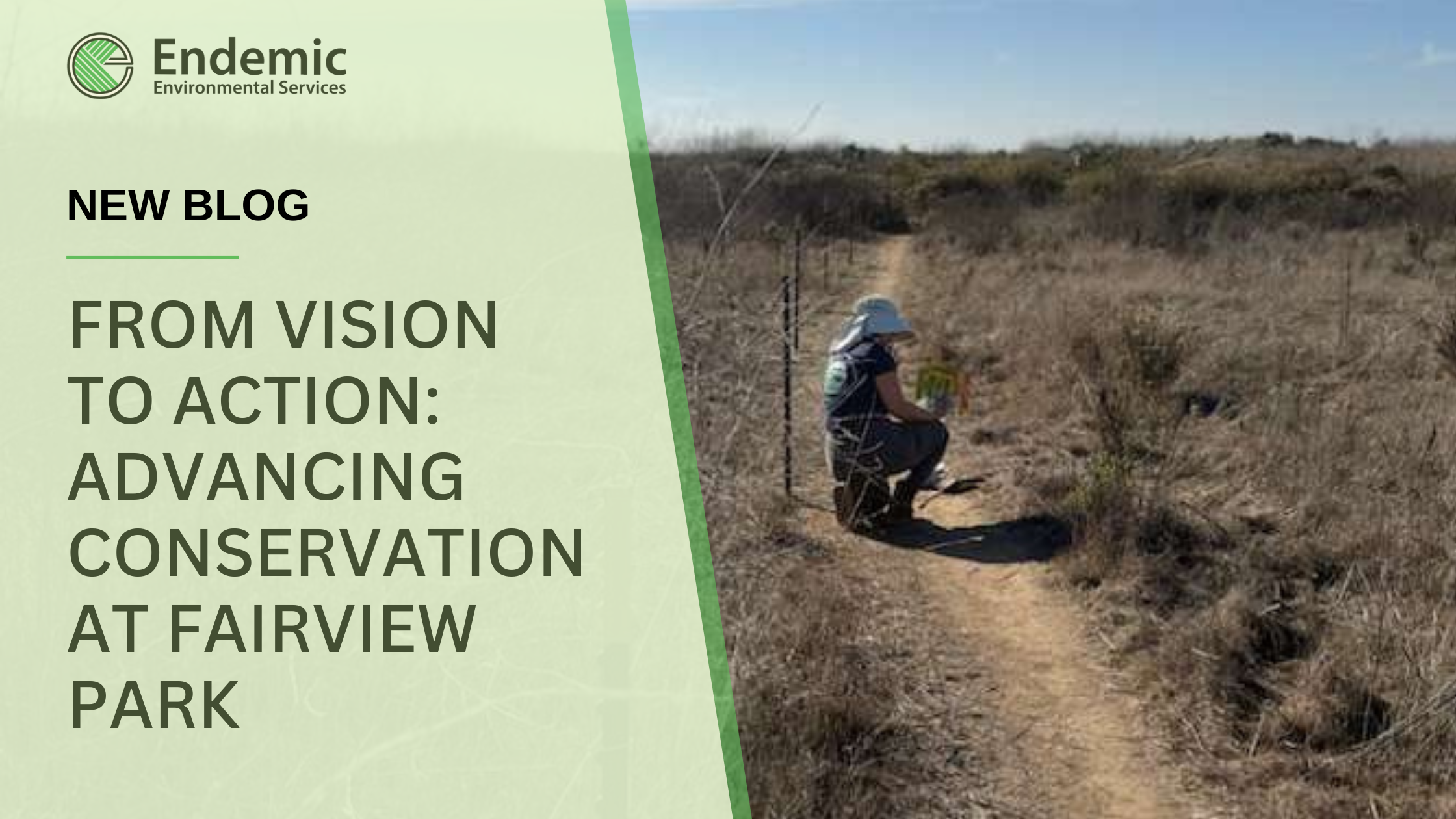 From Vision to Action: Advancing Conservation at Fairview Park